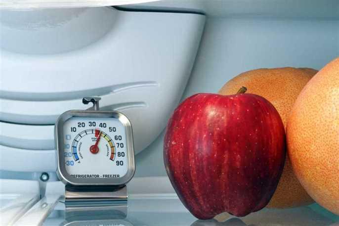 apple and oranges inside the fridge near the thermostat