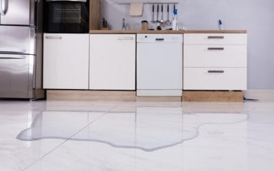 Reasons Your Dishwasher Is Leaking From The Bottom