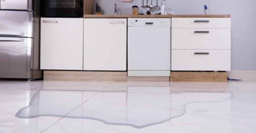 Reasons Your Dishwasher Is Leaking From The Bottom