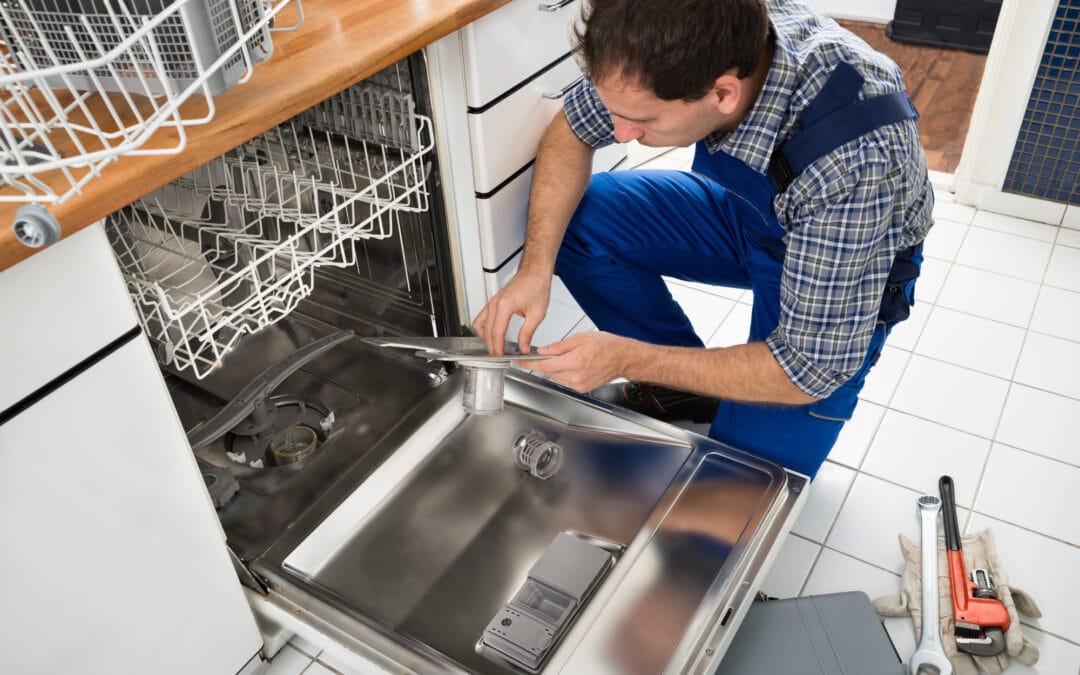 Living Near The Seine? Why Silt Buildup Is Killing Your Dishwasher